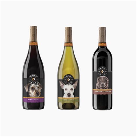 10 Brands That Donate to Animal Rescues · The Wildest.